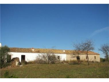 Other for sale in Lepe (Andalucia)