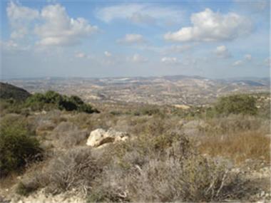 Land for sale in Khirokitia (Larnaca)