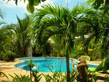 House/villa for sale in Brasilito (Guanacaste)