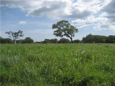 Land for sale in San Jose Pinilla (Guanacaste)