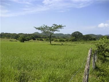 Land for sale in Huacas (Guanacaste)