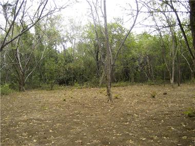 Land for sale in Playa Grande (Guanacaste)