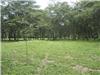 Land/Ruins for sale in Brasilito (Guanacaste)