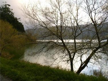 Finca for sale in Lagoa (Regiao Autonoma dos Acores)