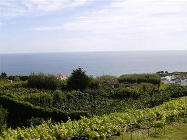 Finca for sale in Lagoa (Regiao Autonoma dos Acores)