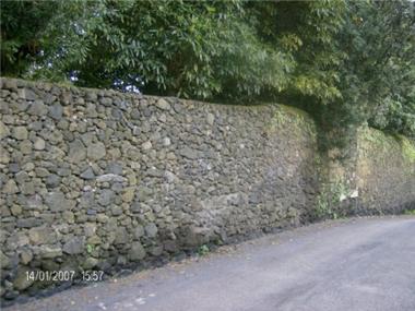 Finca for sale in Lagoa (Regiao Autonoma dos Acores)