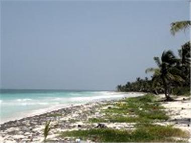 House/Villa for sale in Majahual (Sinaloa)