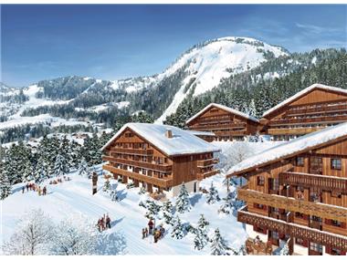 Agricultural for sale in Chatel (Rhone-Alpes)