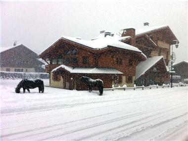 House/villa for sale in Morzine (Rhone-Alpes)