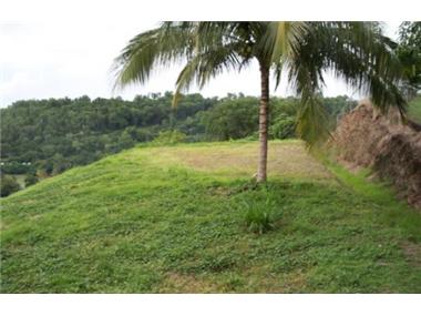 Land for sale in Castries (Castries)