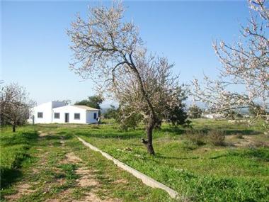 Farm for sale in Estombar (Faro)
