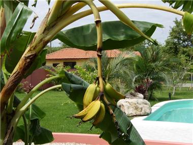 House/villa for sale in Matapalo (Guanacaste)