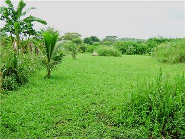 Land for sale in Matapalo (Guanacaste)