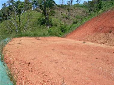 Land for sale in Dominical (Puntarenas)