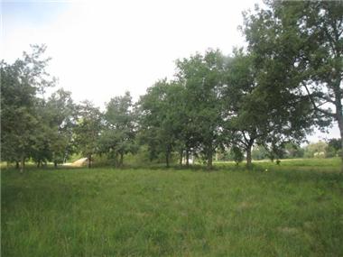 Land for sale in Bretagne-d'Armagnac (Midi-Pyrenees)