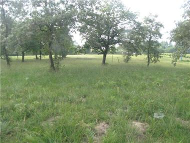 Land for sale in Bretagne-d'Armagnac (Midi-Pyrenees)