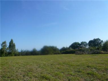 Land for sale in Labatut (Aquitaine)
