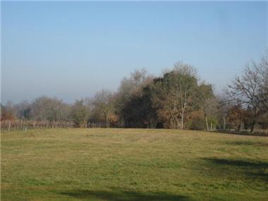 Barn_conversion for sale in Bretagne-d'Armagnac (Midi-Pyrenees)