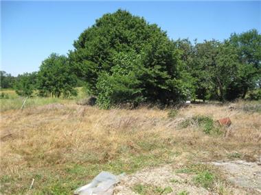 Barn_conversion for sale in Bretagne-d'Armagnac (Midi-Pyrenees)