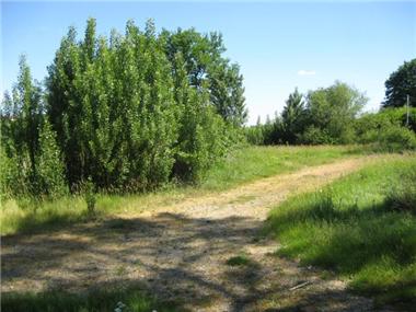 Villa for sale in Bretagne-d'Armagnac (Midi-Pyrenees)