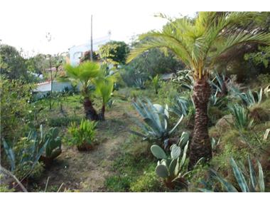 Land for sale in Benissa (Valencia)