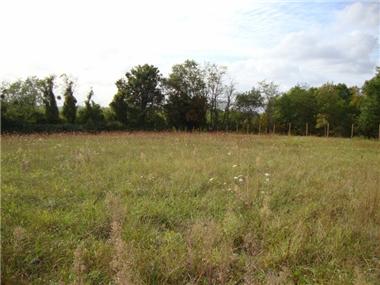 Renovation for sale in Montguyon (Poitou-Charentes)