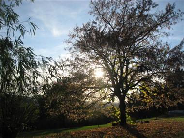 Barn_conversion for sale in Aignan (Midi-Pyrenees)