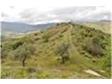 Property - Country House for sale in Tolox (Andalucia)