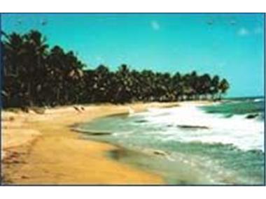 Land - Land (rural) for sale in Nagua (Maria Trinidad Sanchez)
