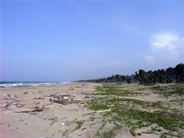 Land - Land (rural) for sale in La Boca de Yasica (Espaillat)