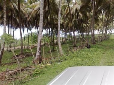 Land - Land (rural) for sale in La Boca de Yasica (Espaillat)
