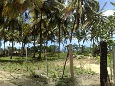 Land - Land (rural) for sale in La Boca de Yasica (Espaillat)