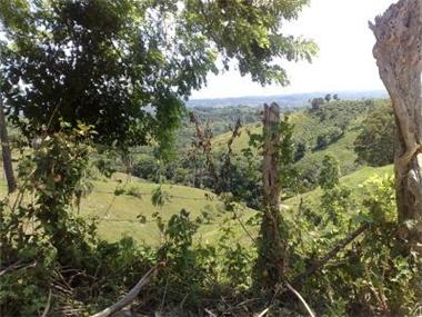 Land for sale in El Gato (Puerto Plata)