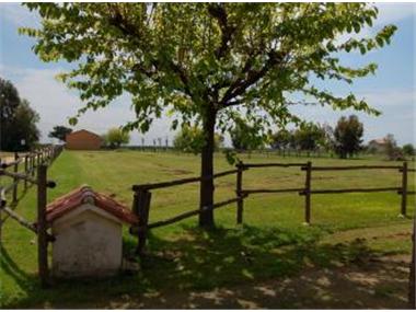 Business for sale in Santa Susanna (Catalonia)