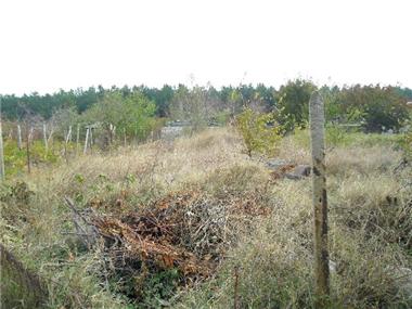 Land for sale in Varna (Varna)