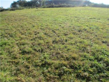 Land for sale in Bouilh-Pereuilh (Midi-Pyrenees)