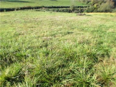 Land for sale in Bouilh-Pereuilh (Midi-Pyrenees)