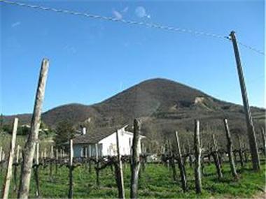 Villa for sale in Valnogaredo (Veneto)