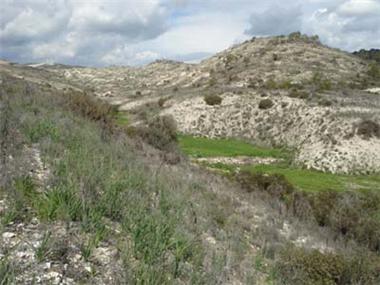 Land for sale in Tokhni (Larnaca)