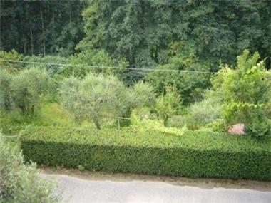 Property for sale in Florence (Tuscany)