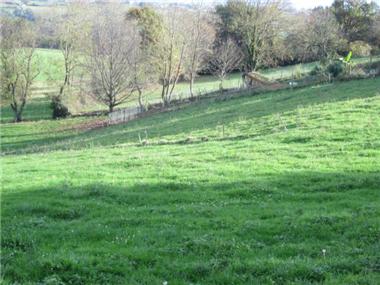 Land for sale in Oleac-Dessus (Midi-Pyrenees)