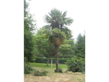Villa for sale in Maulicheres (Midi-Pyrenees)