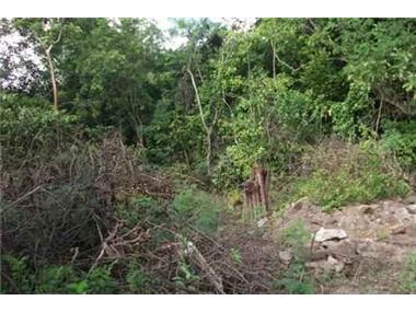 Building Plot for sale in Cap Estate (Gros-Islet)