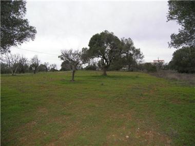 Plot Of Land for sale in Almancil (Faro)