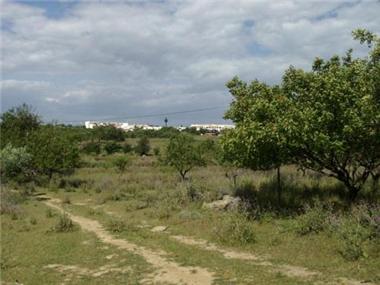 Miscellaneous for sale in Santa Luzia (Faro)