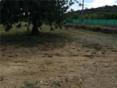 Miscellaneous for sale in Santo Estevao (Faro)
