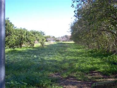 Plot Of Land for sale in Vila Nova De Cacela (Faro)