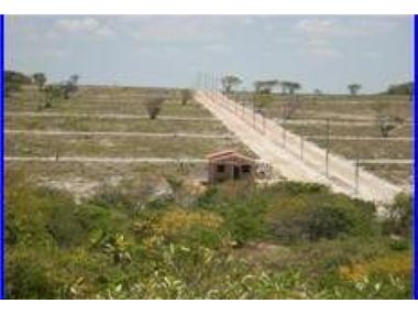 Other for sale in Caponga (Ceara)