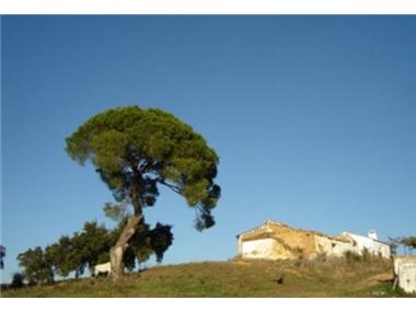 Other for sale in San Bartolome de la Torre (Andalucia)