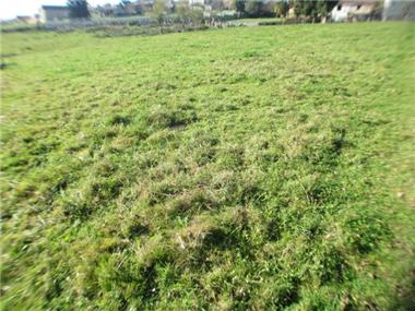 Land for sale in Sinzos (Midi-Pyrenees)